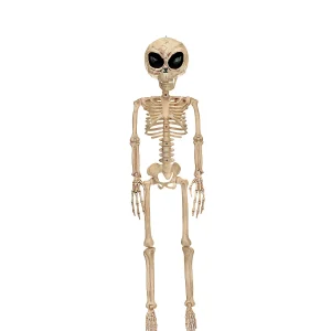 37