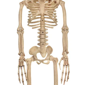 37