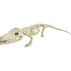 Alligator Skeleton Halloween Decoration<Oriental Trading Best Sale