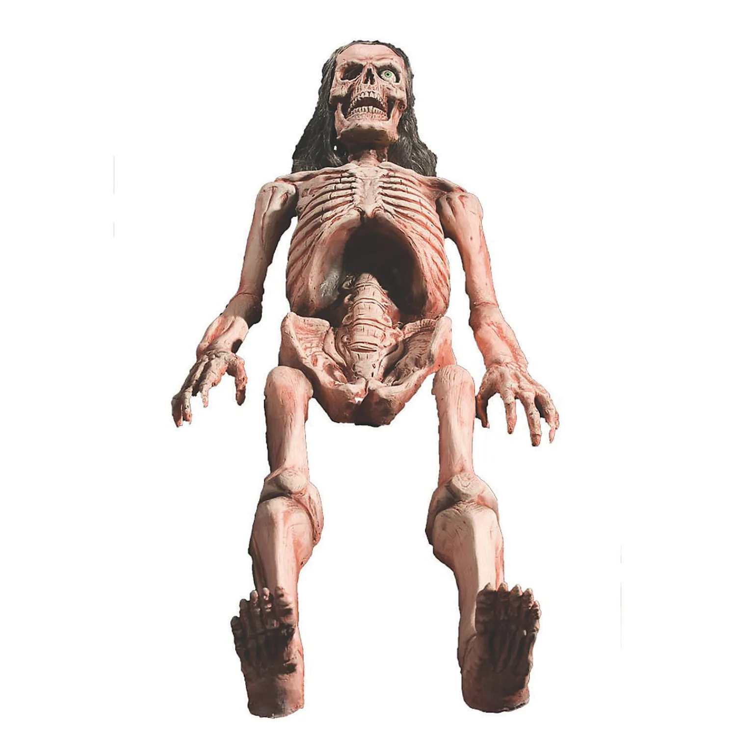 animated_bones_halloween_0.webp 16"–24" Animated Bones Halloween Decoration<Oriental Trading Online