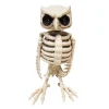 Animated Owl Skeleton Halloween Decoration<Oriental Trading Hot