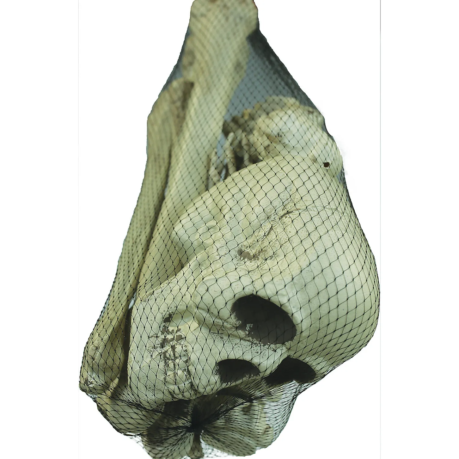 bag_of_bones_1.webp Bag Of Bones<Oriental Trading Sale