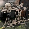 Bag Of Bones Halloween Decoration<Oriental Trading Online