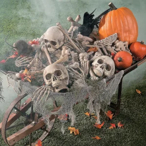 Bag Of Bones Halloween Decoration<Oriental Trading Online