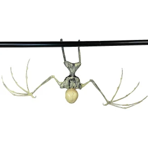 Bat Skeleton<Oriental Trading New