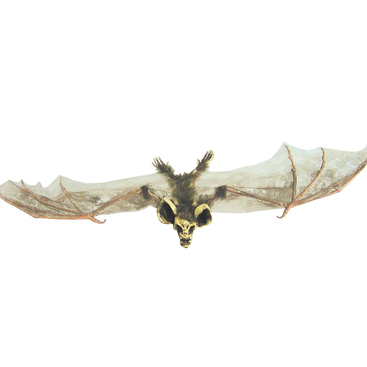 bat_with_skull_head_brown_0.webp Bat With Skull Head (Brown)<Oriental Trading Sale