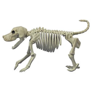 Beagle Bonez Dog Skeleton Halloween Decoration<Oriental Trading Fashion