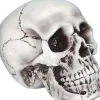 Beige Skull<Oriental Trading Hot