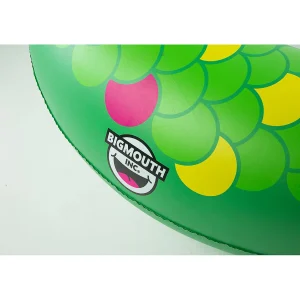 Bigmouth Double Snake Two Person Pool Float<Oriental Trading Cheap