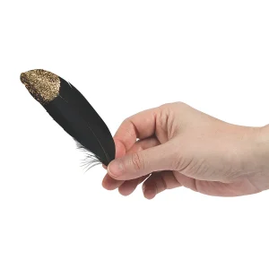 Black & Gold Glitter Feathers<Oriental Trading Discount