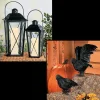 Black Lanterns & Crows Decorating Kit - 4 Pc.<Oriental Trading Hot