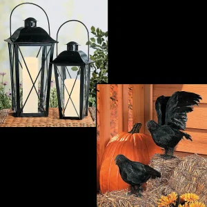 Black Lanterns & Crows Decorating Kit - 4 Pc.<Oriental Trading Hot