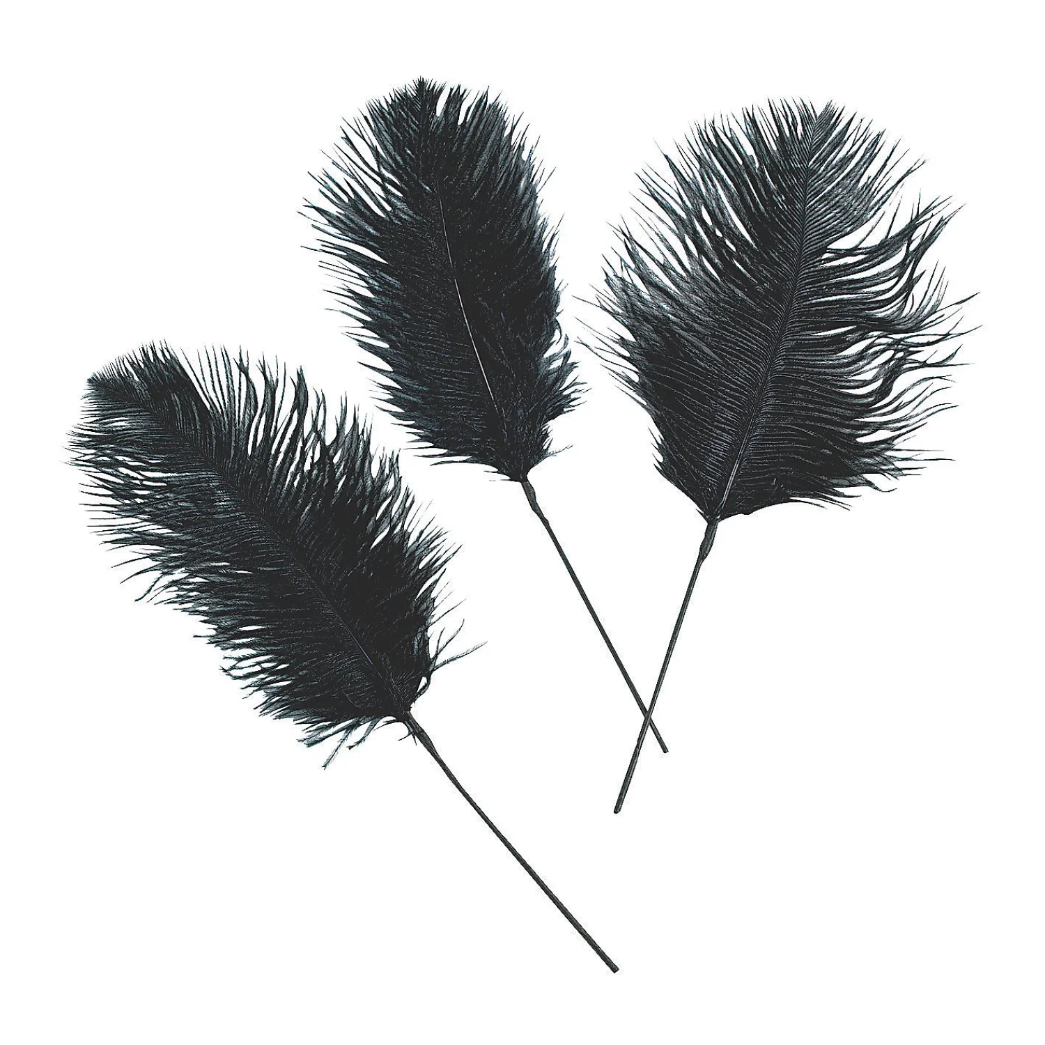 black_ostrich_feathers____0.webp Black Ostrich Feathers - 24 Pc.<Oriental Trading Online