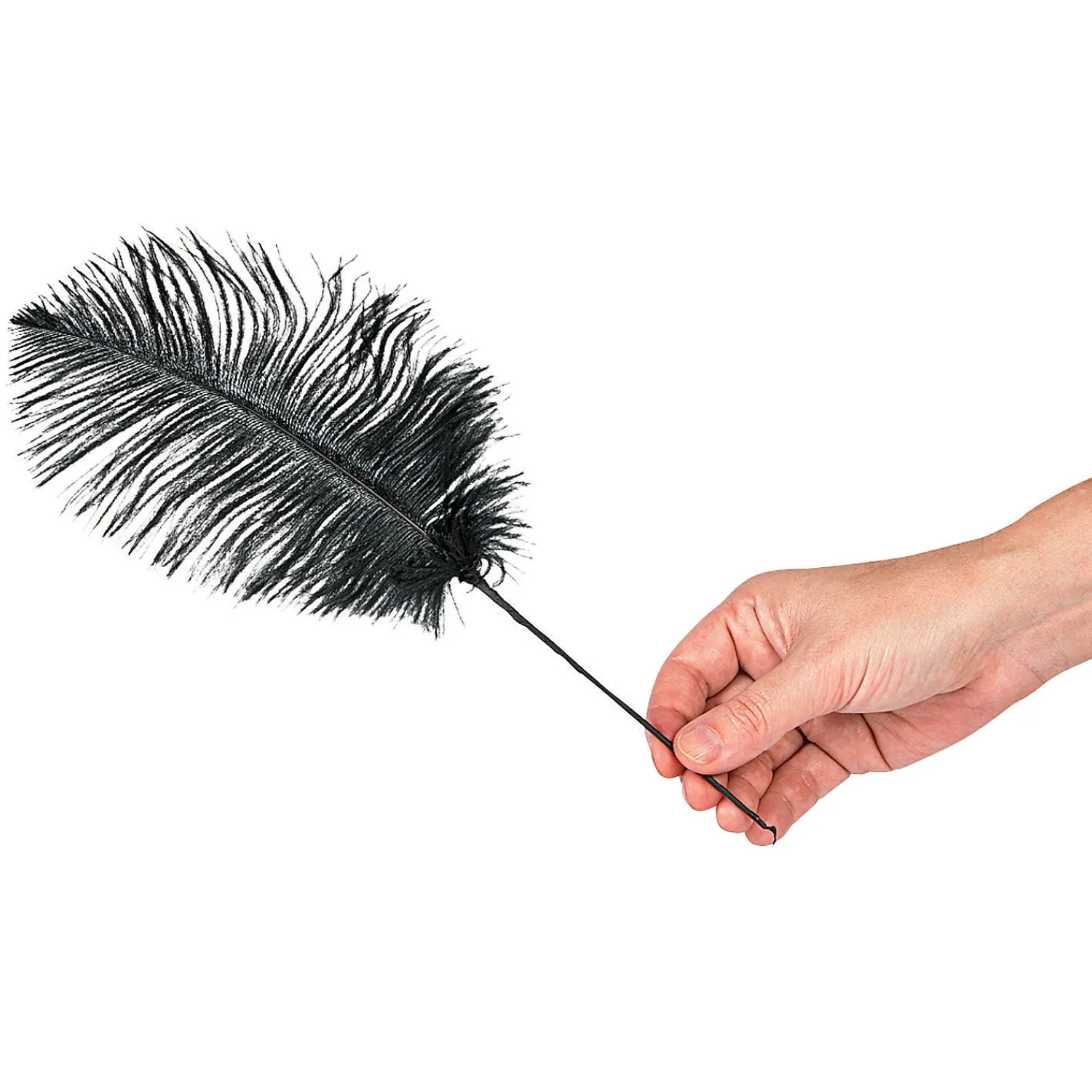 black_ostrich_feathers____1.webp Black Ostrich Feathers - 24 Pc.<Oriental Trading Online