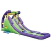 Bounceland Double Water Slide With Splash Pool<Oriental Trading Best