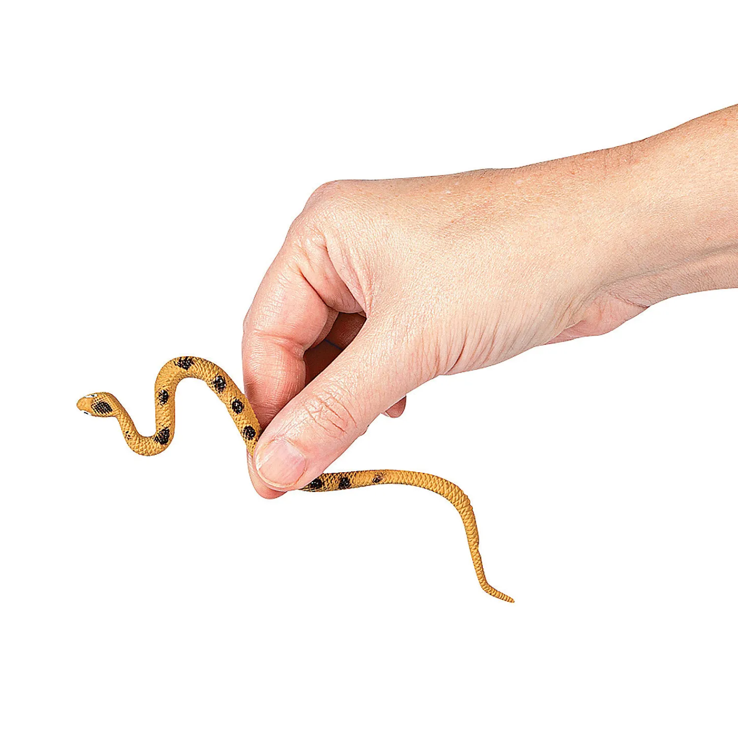 bulk__pc_vinyl_realistic__1.webp Oriental Trading Character Toys*Bulk 48 Pc. Vinyl Realistic Snakes