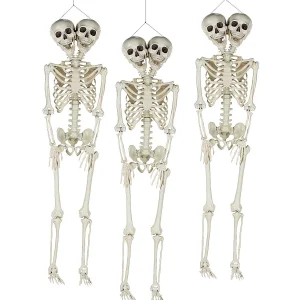 Bulk Two-Headed Life-Size Posable Skeleton Halloween Decorations - 3 Pc.<Oriental Trading Best