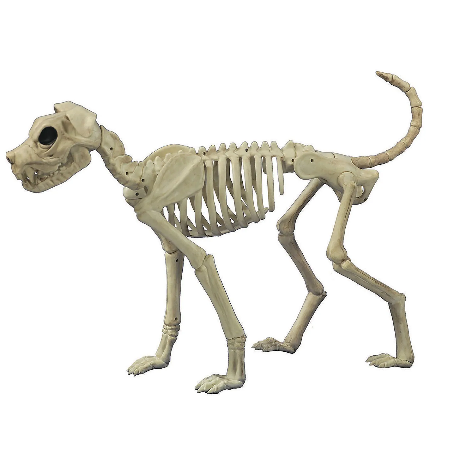 buster_bonez_dog_skeleton_0.webp Buster Bonez Dog Skeleton Halloween Decoration<Oriental Trading Cheap