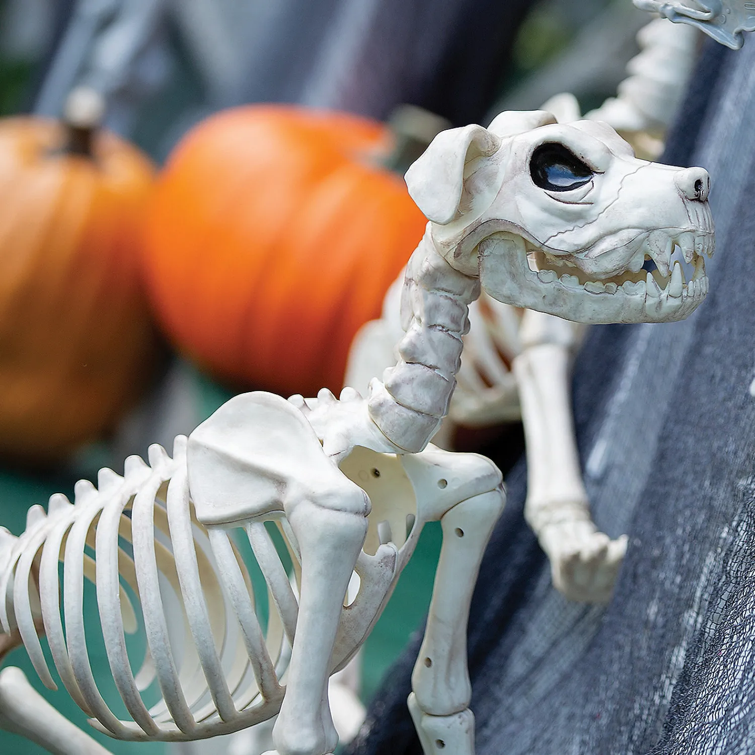 buster_bonez_dog_skeleton_1.webp Buster Bonez Dog Skeleton Halloween Decoration<Oriental Trading Cheap