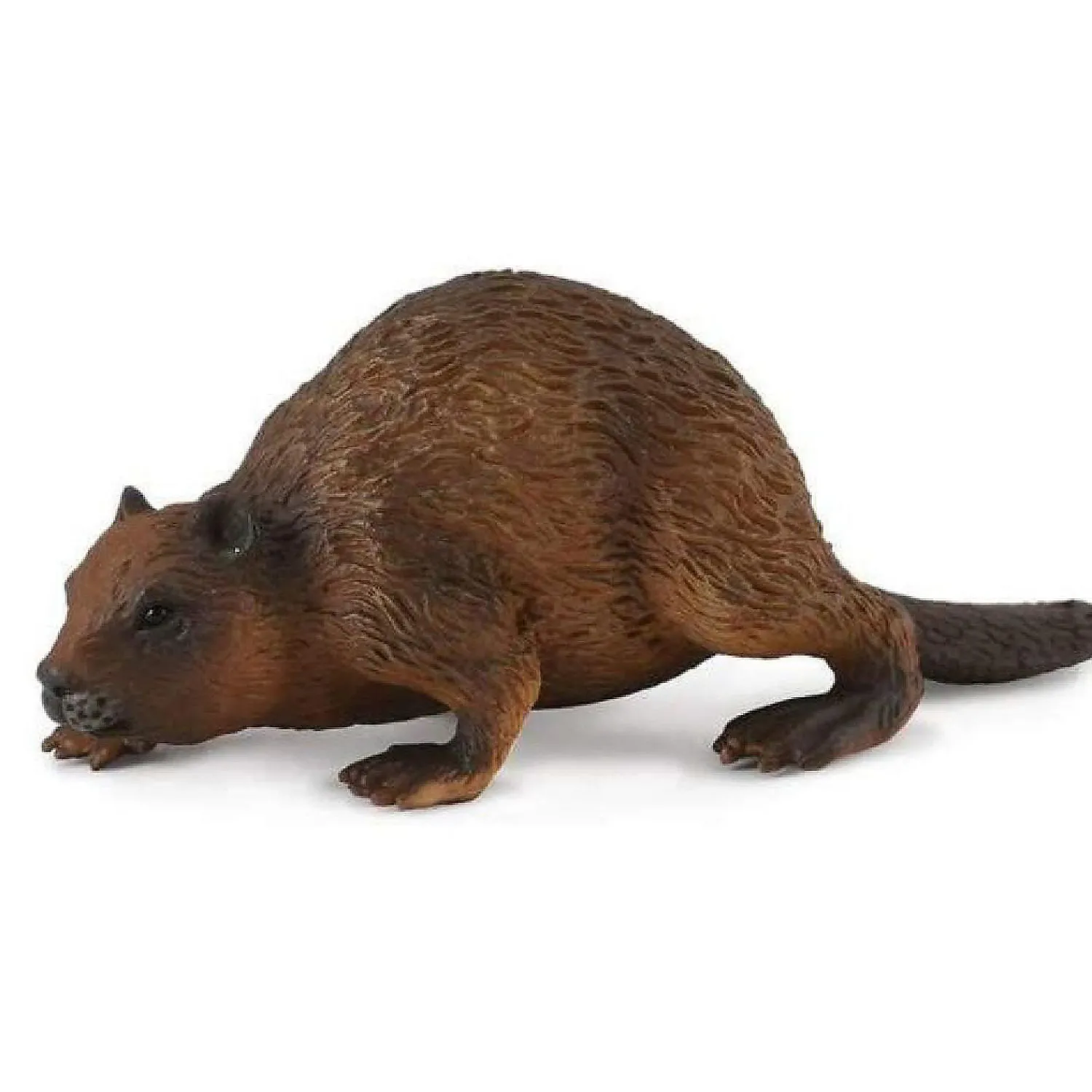 collecta_wildlife_collect_0.webp Oriental Trading Character Toys*Collecta Wildlife Collection Miniature Figure Woodlands Beaver