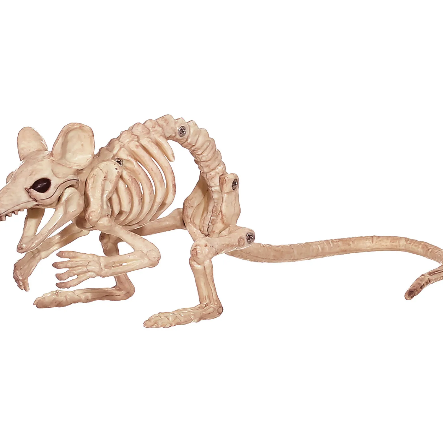 creepy_crouching_mouse_0.webp Creepy Crouching Mouse<Oriental Trading Discount