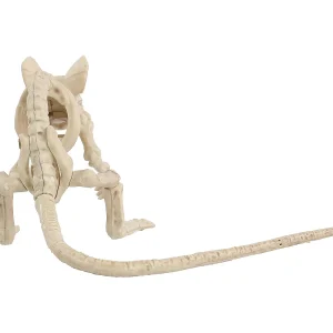 Creepy Crouching Mouse<Oriental Trading Discount