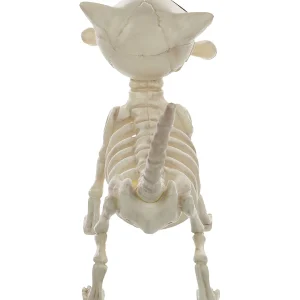 11" Digger The Skeleton Dog Decoration<Oriental Trading Best