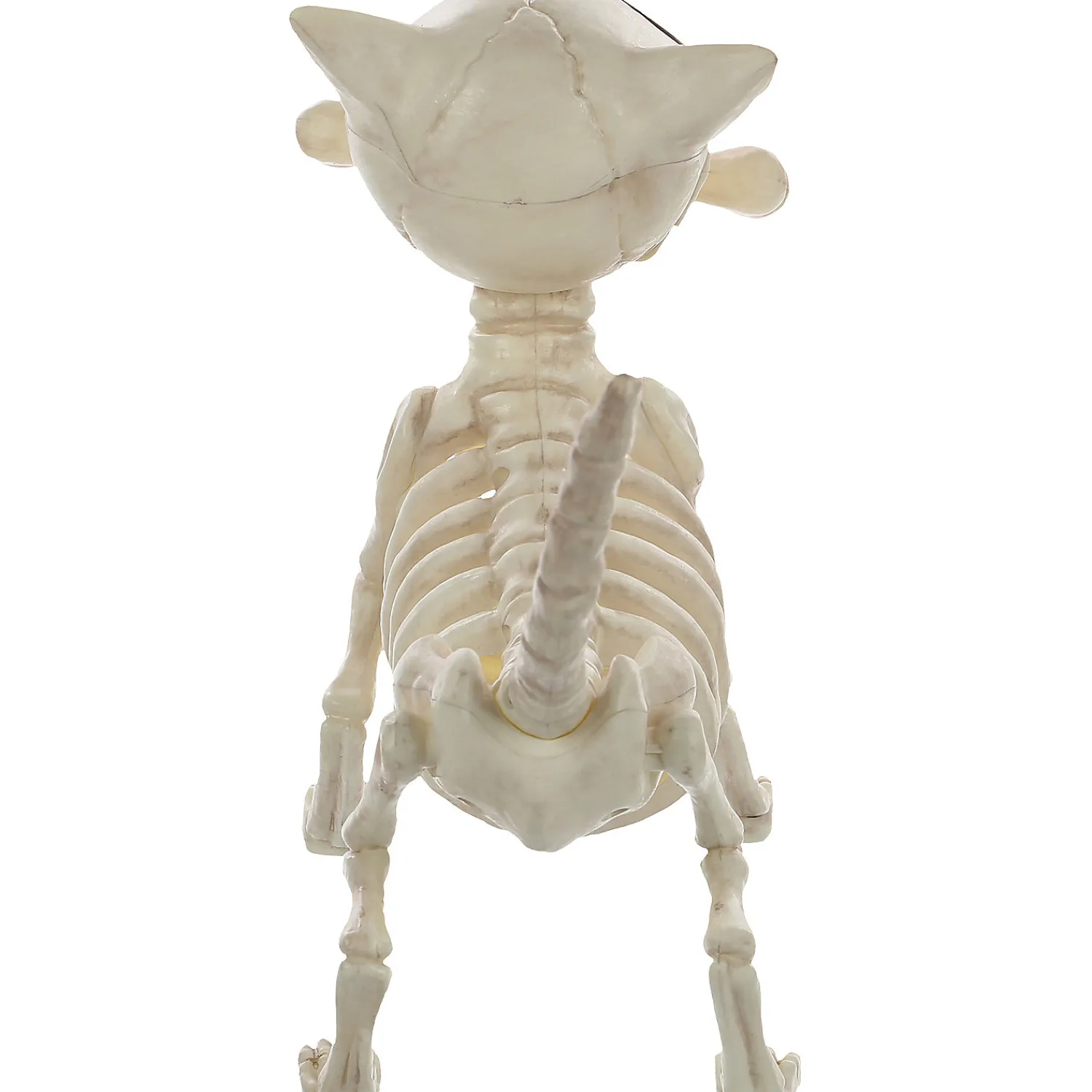digger_the_skeleton_dog__1.webp 11" Digger The Skeleton Dog Decoration<Oriental Trading Best