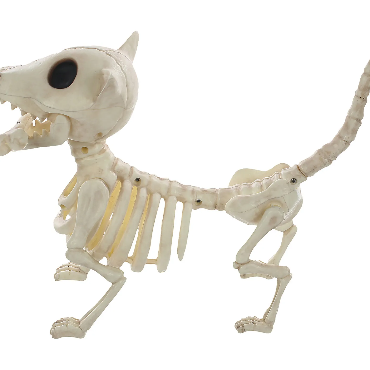 digger_the_skeleton_dog__2.webp 11" Digger The Skeleton Dog Decoration<Oriental Trading Best