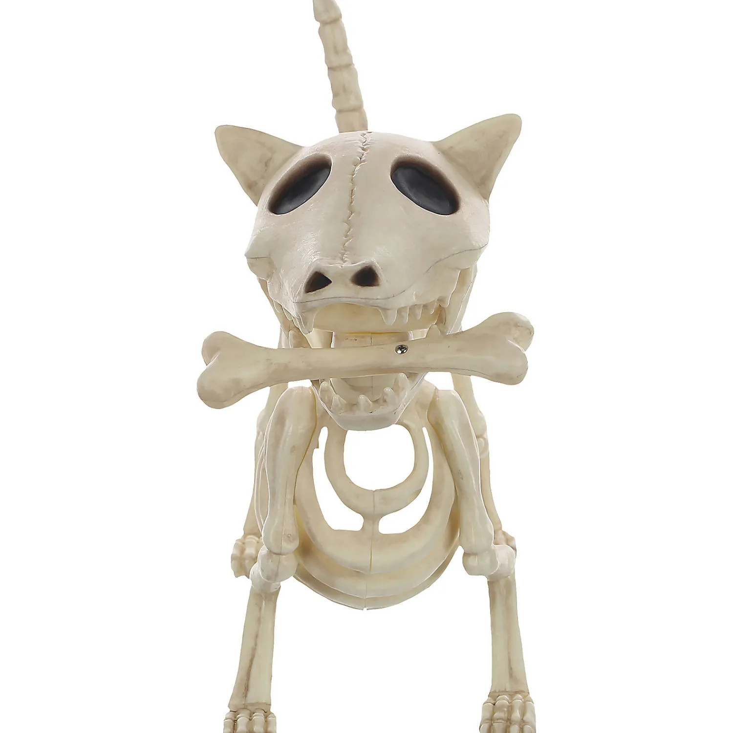 digger_the_skeleton_dog__3.webp 11" Digger The Skeleton Dog Decoration<Oriental Trading Best