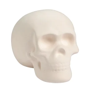 Diy Ceramic Skull<Oriental Trading Discount