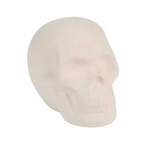 Diy Mini Ceramic Skull - 12 Pc.<Oriental Trading Clearance