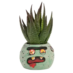 Diy Mini Ceramic Zombie Planters – 12 Pc.<Oriental Trading Flash Sale