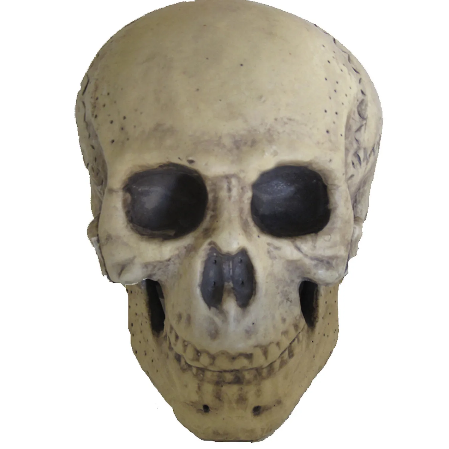 foam_skull_decoration_0.webp 9.5" Foam Skull Decoration<Oriental Trading Hot