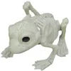 Frog Skeleton Decoration<Oriental Trading Shop