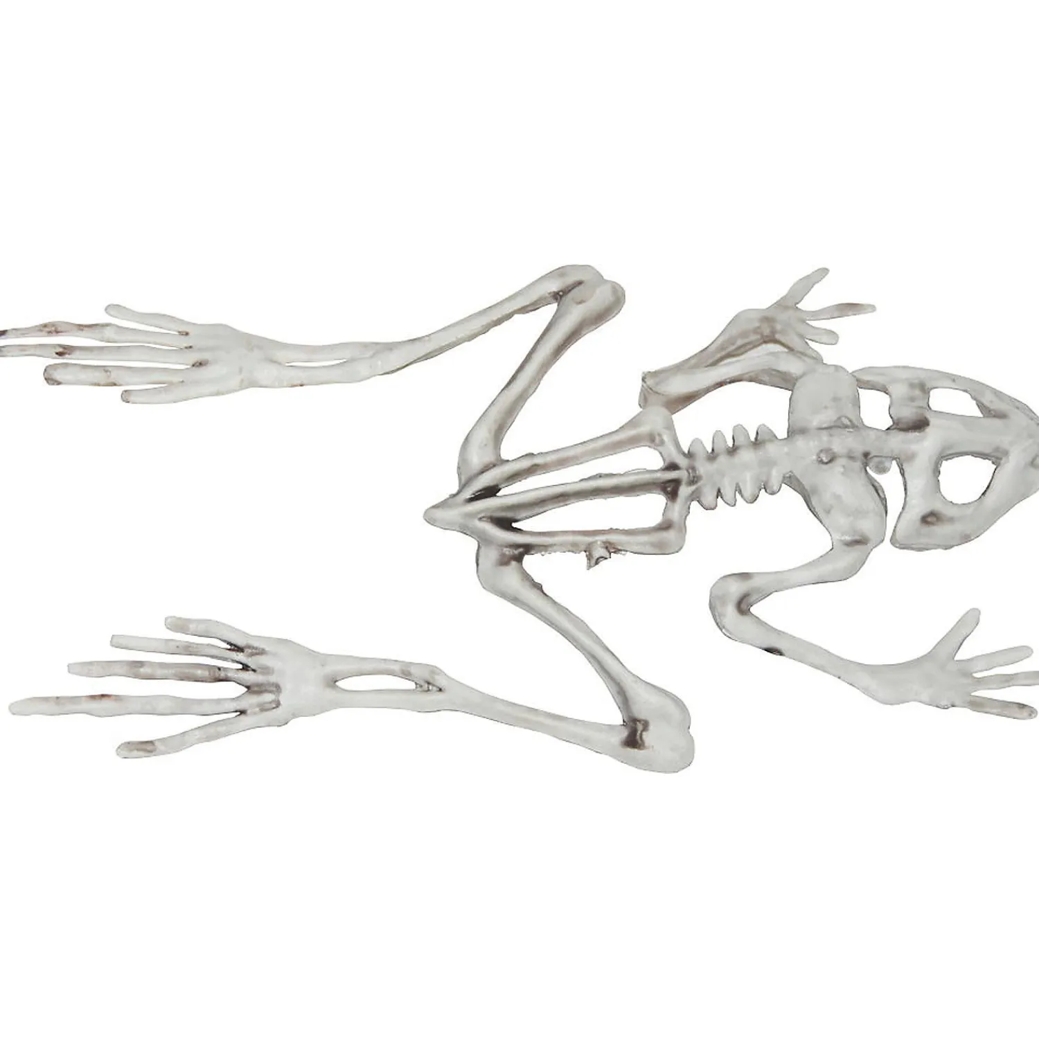 frog_skeleton_halloween_d_0.webp Frog Skeleton Halloween Decoration<Oriental Trading Fashion
