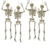 5 Ft. Life Size Posable Skeleton Halloween Decoration - 4 Pc.<Oriental Trading New