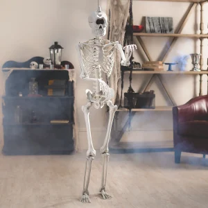 5 Ft. Life-Size Cyclops Skeleton Halloween Decoration<Oriental Trading Cheap