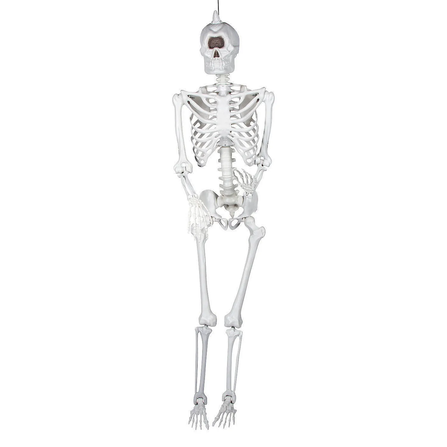 ft_lifesize_cyclops_skel_2.webp 5 Ft. Life-Size Cyclops Skeleton Halloween Decoration<Oriental Trading Cheap