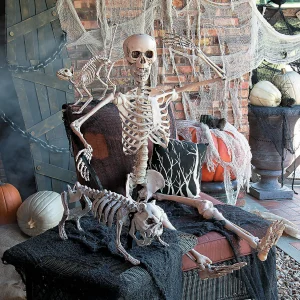 5 Ft. Life-Size Posable Skeleton Halloween Decoration<Oriental Trading Shop