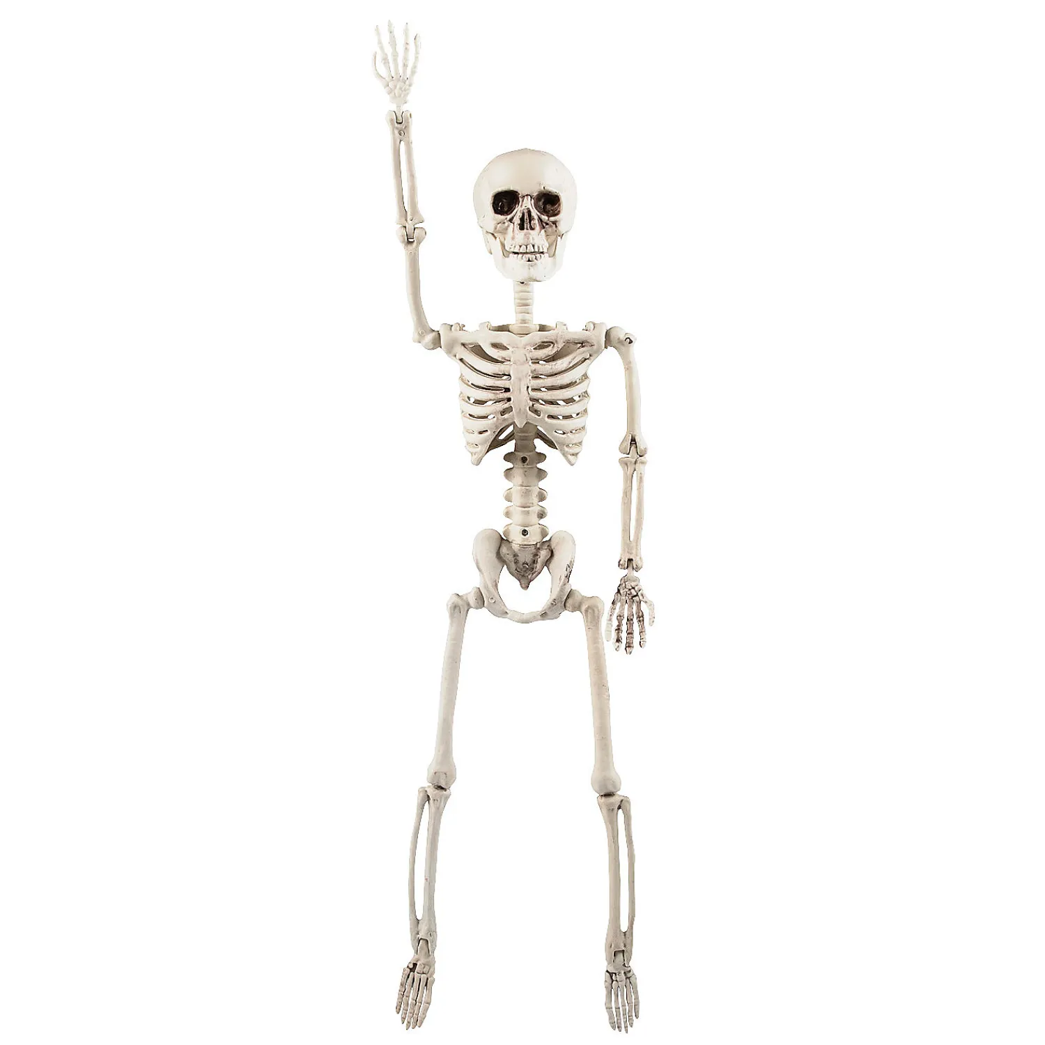 ft_posable_skeleton_hall_1.webp 2 Ft. Posable Skeleton Halloween Decoration<Oriental Trading Sale