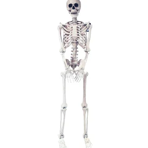 5 Ft. Skeleton Pose & Hold Halloween Decoration<Oriental Trading Online