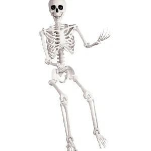 5 Ft. Skeleton Pose & Hold Halloween Decoration<Oriental Trading Online