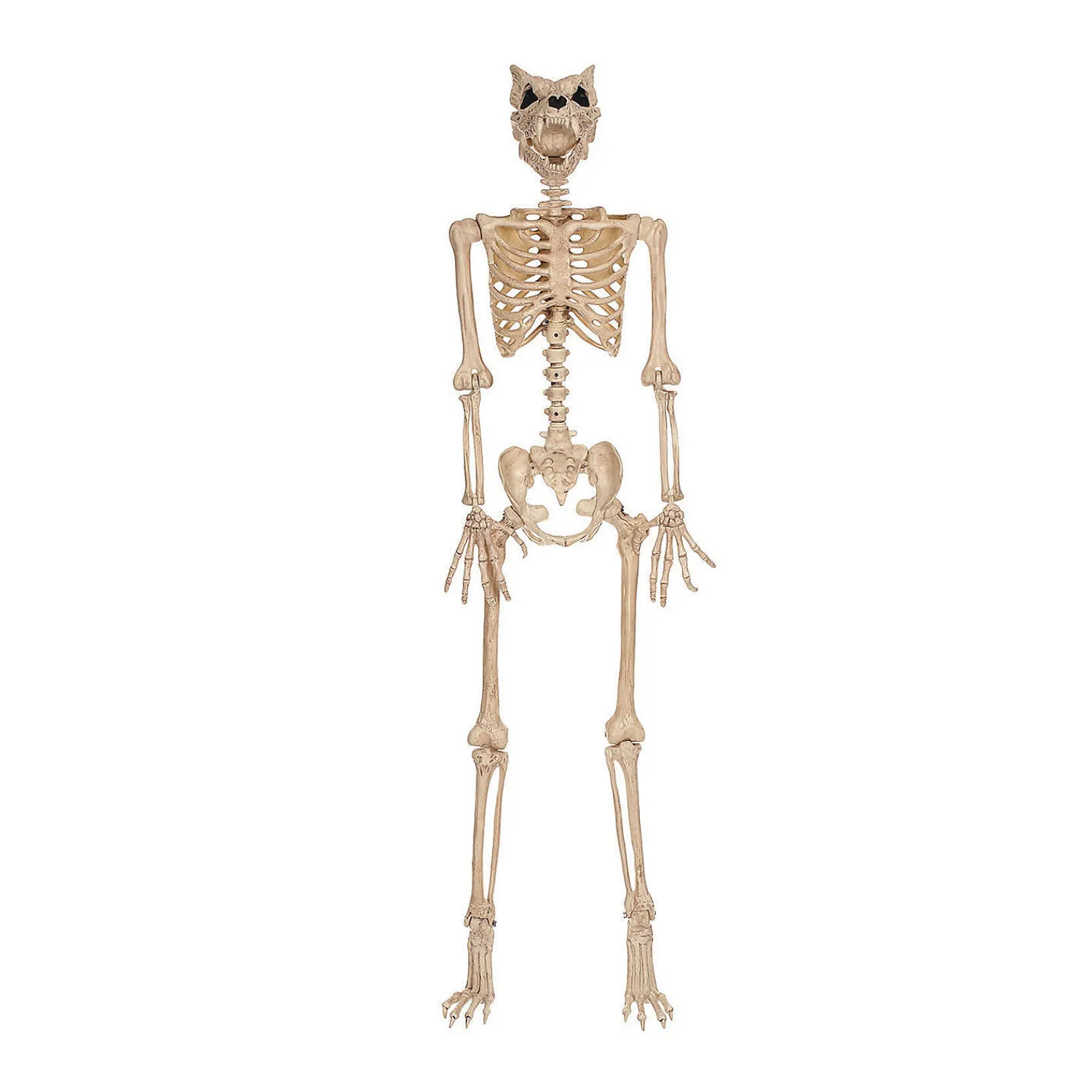 ft_werewolf_skeleton_hal_0.webp 5 Ft. Werewolf Skeleton Halloween Decoration<Oriental Trading Cheap