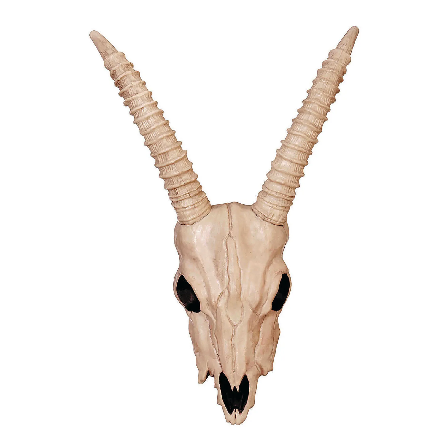 gazelle_skeleton_skull_ha_0.webp Gazelle Skeleton Skull Halloween Decoration<Oriental Trading Fashion