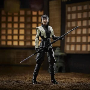 Oriental Trading Character Toys*Gi Joe Classified Series 6 Inch Action Figure Akiko