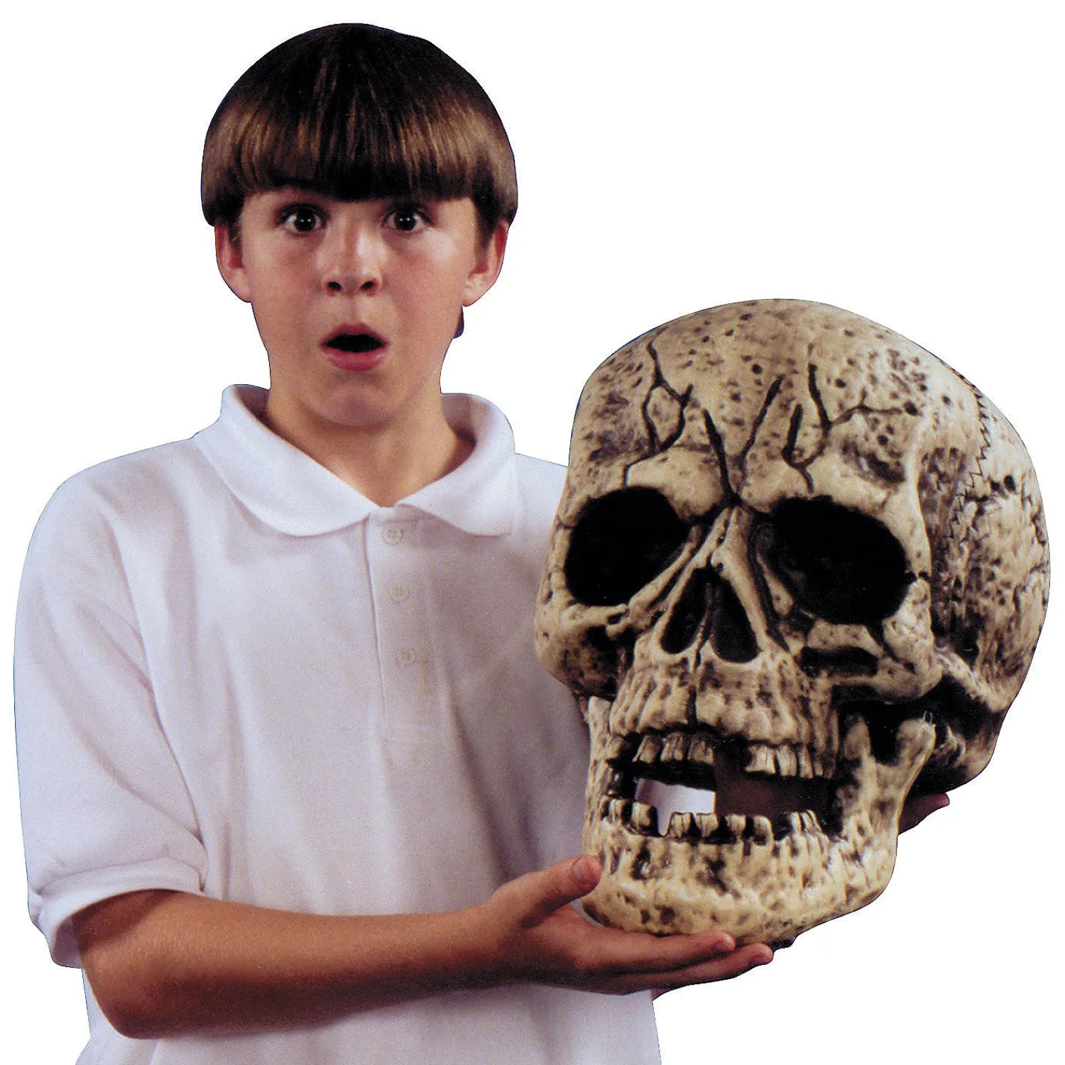 giant_skull_halloween_d_0.webp 13 1/2" Giant Skull Halloween Decoration<Oriental Trading Shop