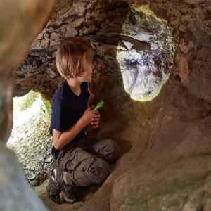 Oriental Trading Pretend Play*Haba Terra Kids 4-Way Flashlight With Carabiner Clip