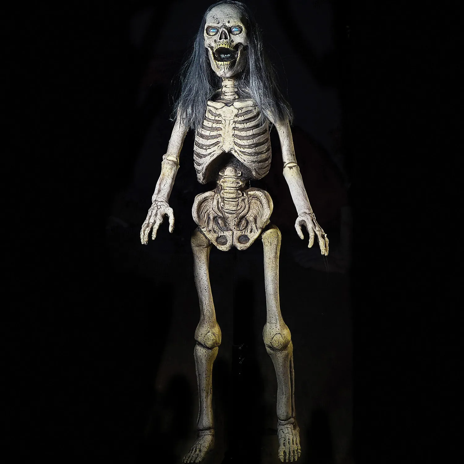hairy_scary_skeleton_prop_0.webp Hairy Scary Skeleton Prop<Oriental Trading Fashion