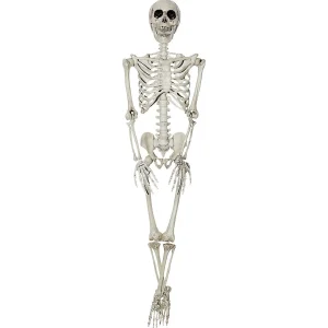 3' Hanging Skeleton Halloween Decoration<Oriental Trading Shop